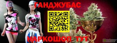 молекула духа Бийск